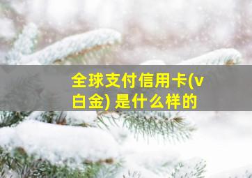 全球支付信用卡(v白金) 是什么样的